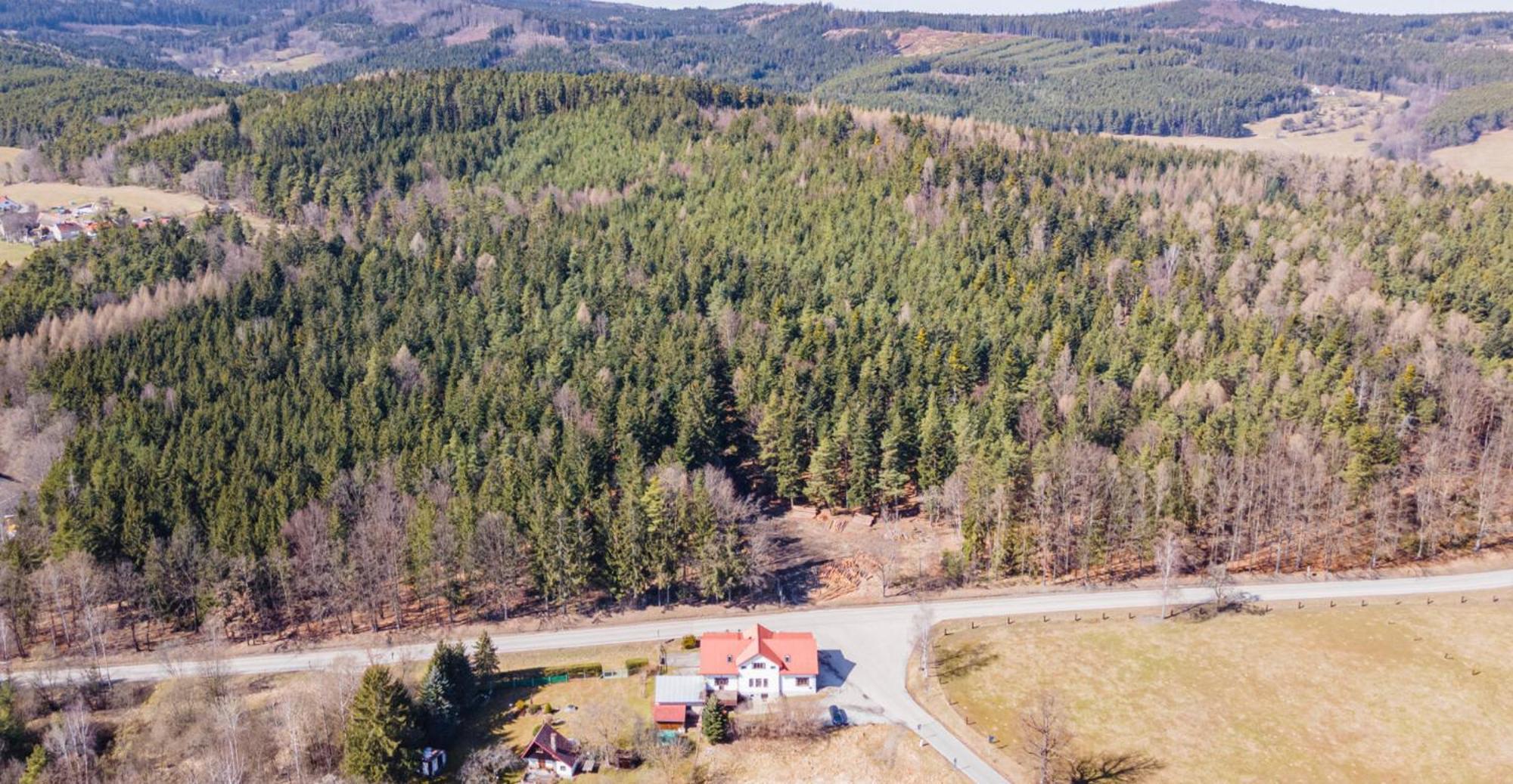 Penzion Na Letne Zlata Koruna Bagian luar foto